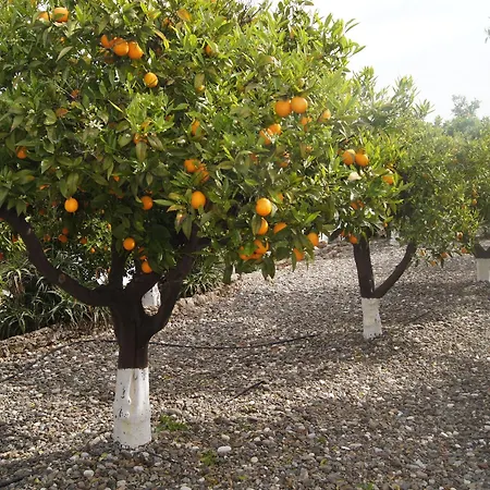 Casa De Orange Alhaurín el Grande