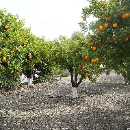 Bed & Breakfast Casa De Orange Alhaurín el Grande